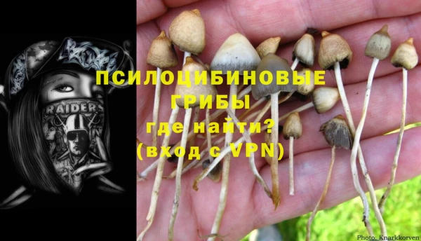 ECSTASY Аркадак