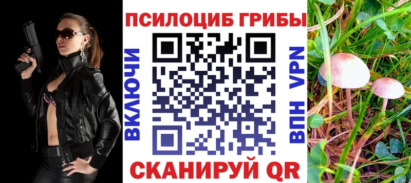 Псилоцибиновые грибы Psilocybe  Протвино 